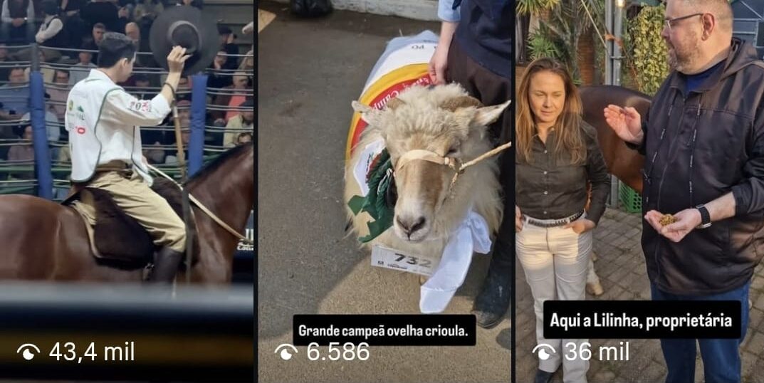 WhatsApp Image 2026-02-09 at 10.49.12